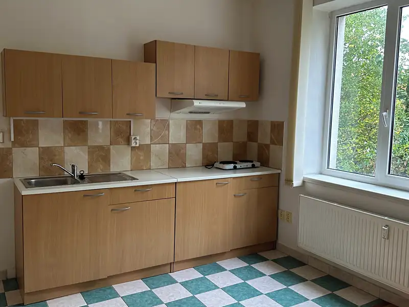 Pronájem bytu 1+kk 35 m², Průhonice – náhled fotky 2
