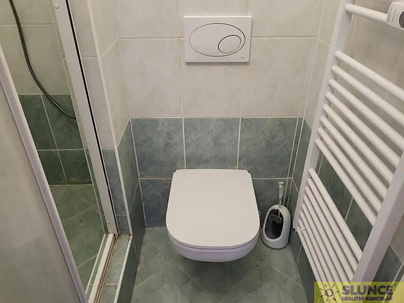 Pronájem bytu 1+kk 24 m², Brno – náhled fotky 3