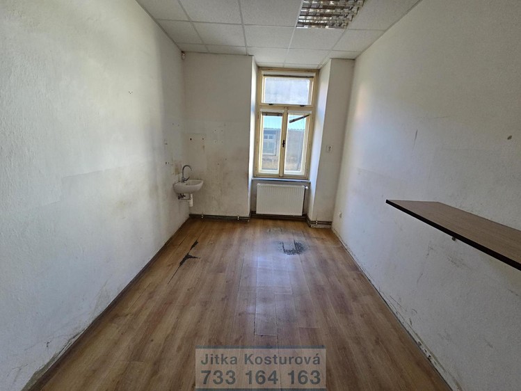 Gewerbefläche zur Miete, 533 m² (3 von 12)