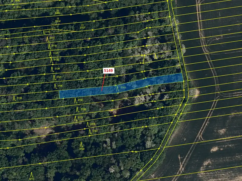 Dražba lesa 694 m², Hradčovice – náhled fotky 2