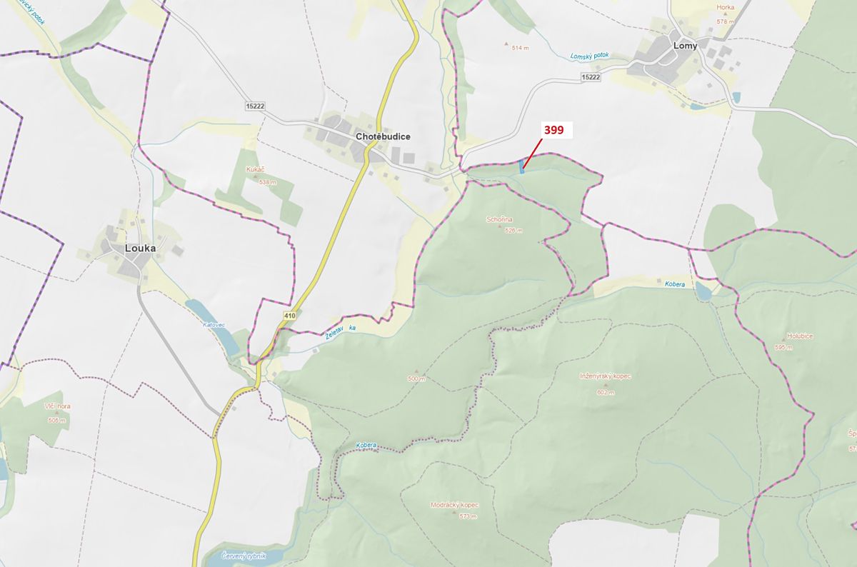 Dražba lesa 2054 m², Chotěbudice – fotka 1 z 3