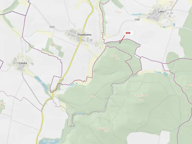 Dražba lesa 2054 m², Chotěbudice – náhled fotky 1