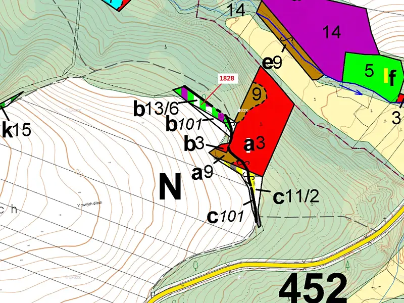 Dražba lesa 1841 m², Chotýšany – náhled fotky 3