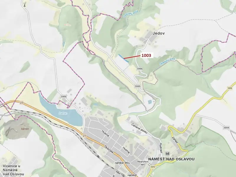 Dražba lesa 3001 m², Náměšť nad Oslavou – náhled fotky 1