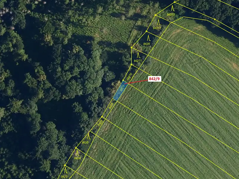 Dražba lesa 67 m², Ketkovice – náhled fotky 2