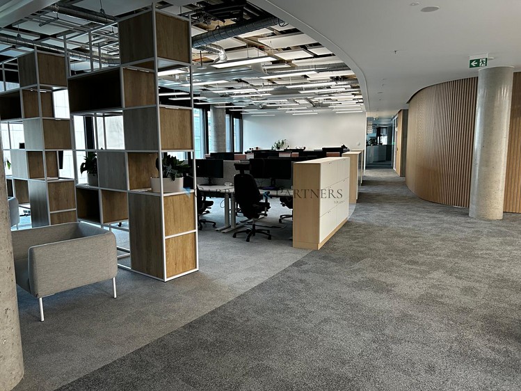 Pronájem komerčního prostoru, 1 000 m² (10 z 12)