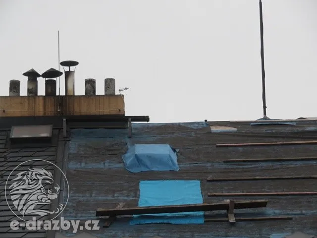 Fotka 9 z 10