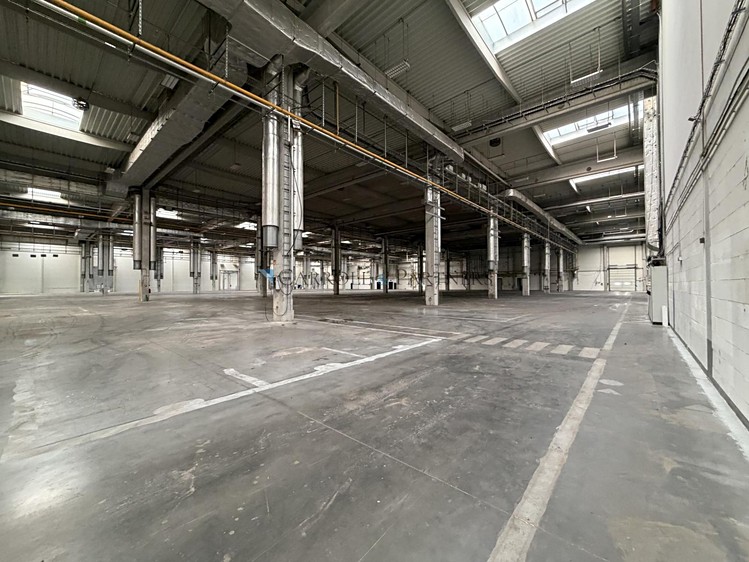 Gewerbefläche zur Miete, 6.000 m² (6 von 8)