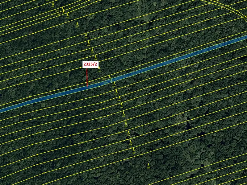 Dražba lesa 2122 m², Slavkov – náhled fotky 2