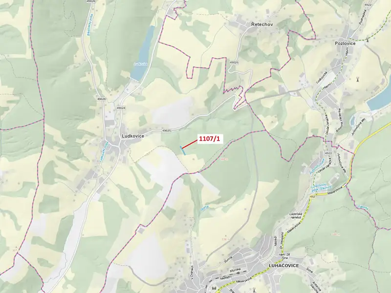 Dražba lesa 2302 m², Ludkovice – náhled fotky 1