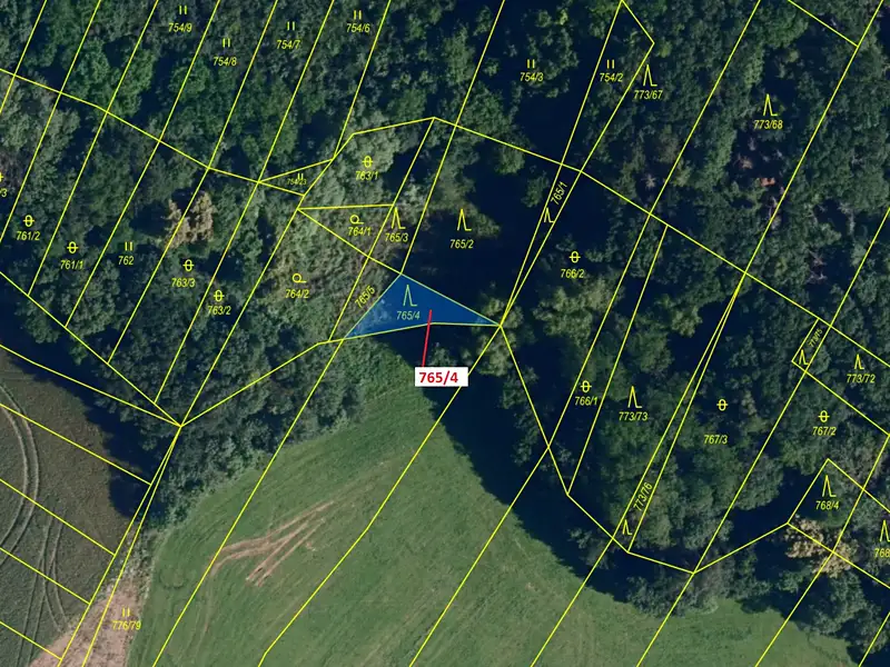 Dražba lesa 162 m², Čučice – náhled fotky 2