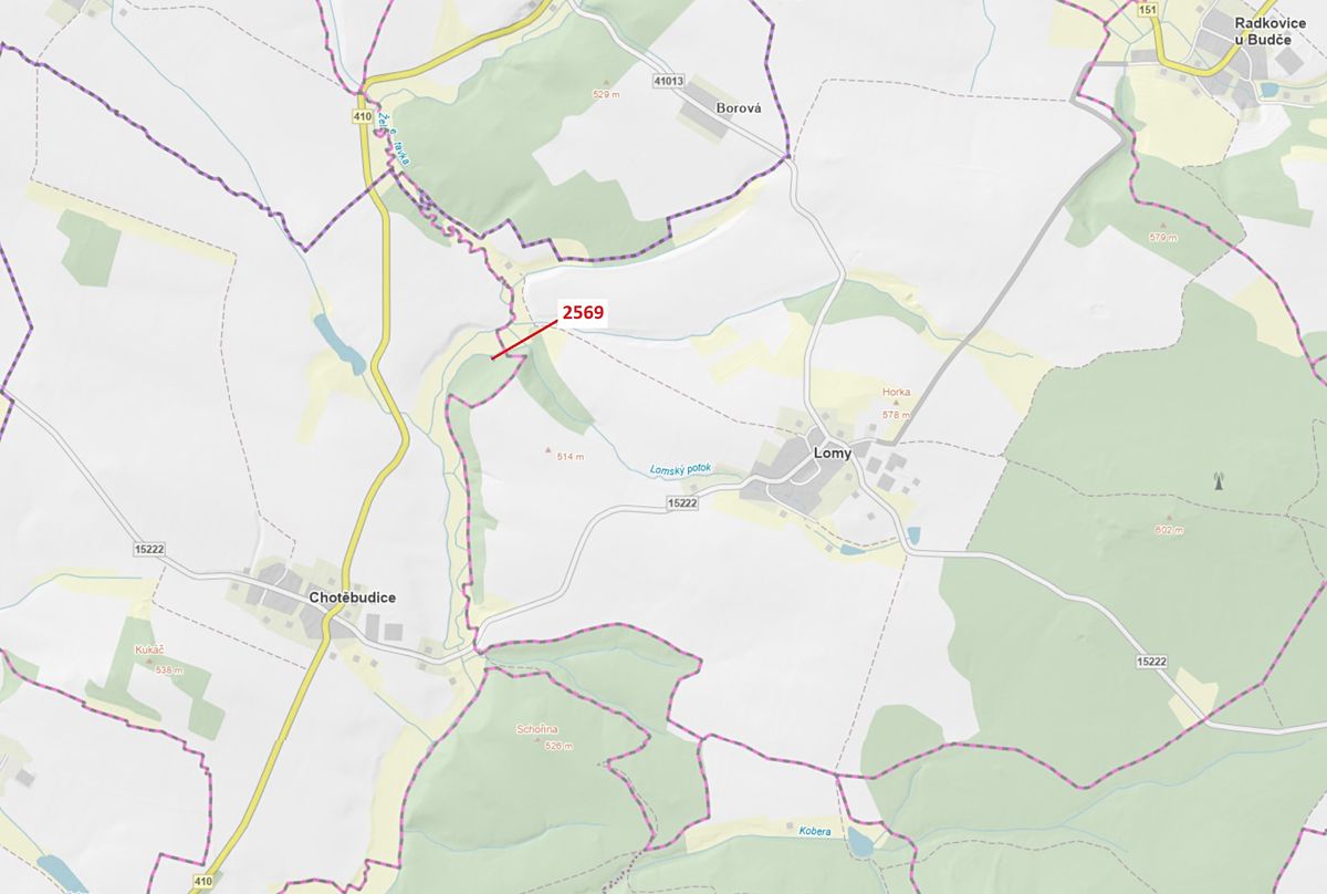 Dražba lesa 155 m², Chotěbudice – fotka 1 z 3