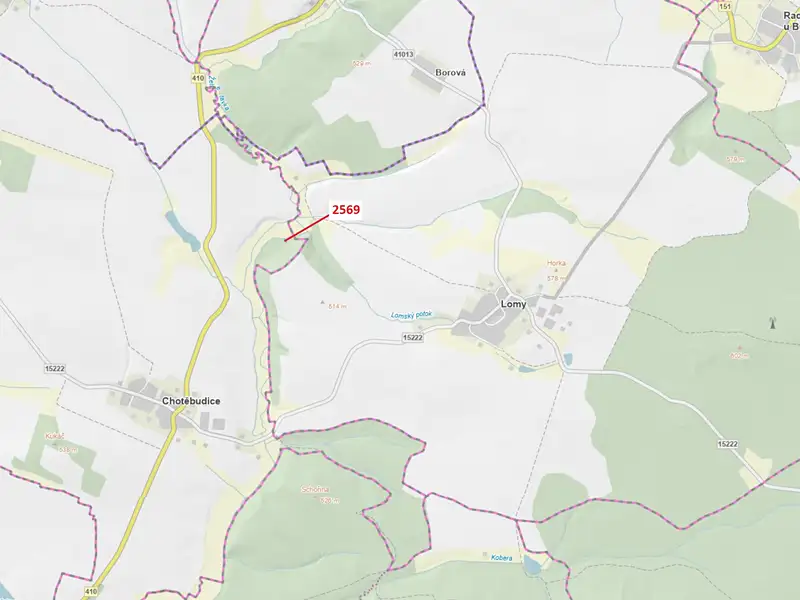 Dražba lesa 155 m², Chotěbudice – náhled fotky 1