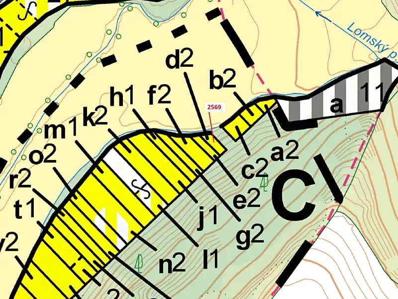 Dražba lesa 155 m², Chotěbudice – náhled fotky 3