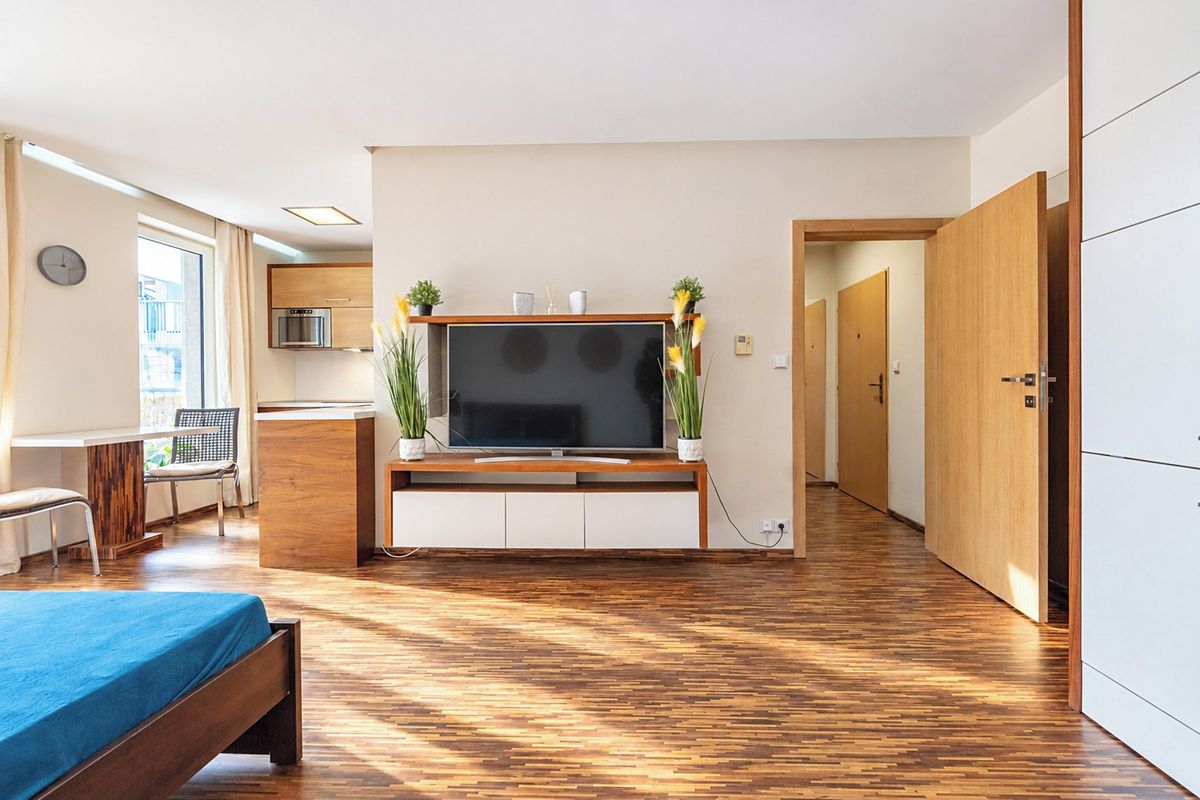 Pronájem bytu 1+kk 39 m² – fotografie 5