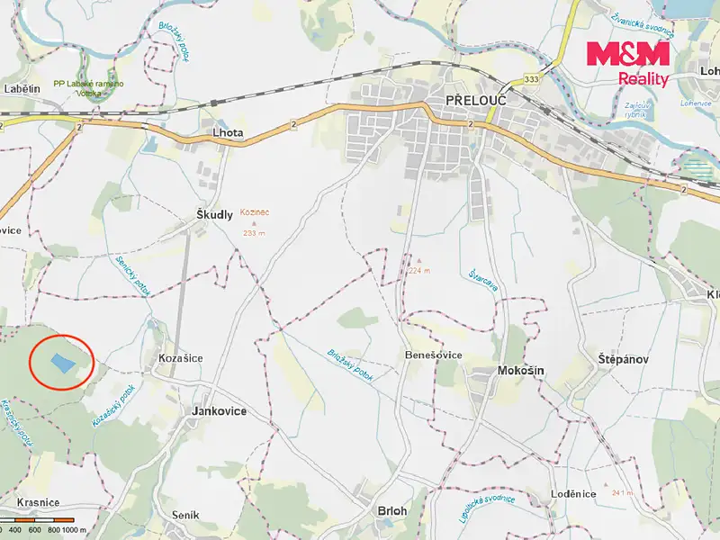 Prodej lesa 24923 m², Jankovice – náhled fotky 3