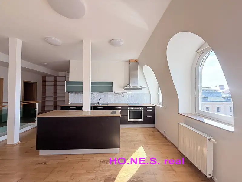 Pronájem bytu 4+kk 264 m², Olomouc – náhled fotky 2