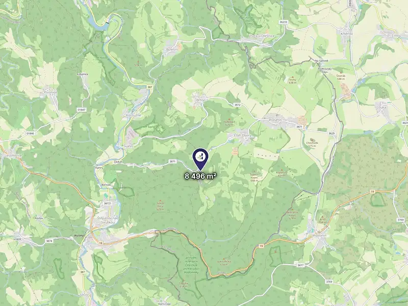 Prodej louky 8496 m², Prosetín – náhled fotky 3