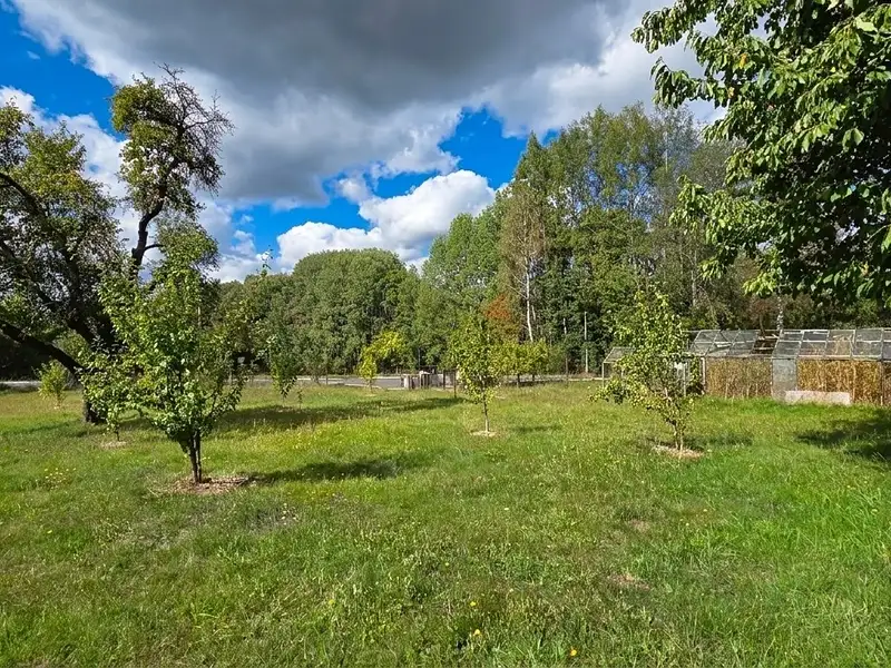 Prodej stavebního pozemku 1961 m², Hošťka – náhled fotky 2
