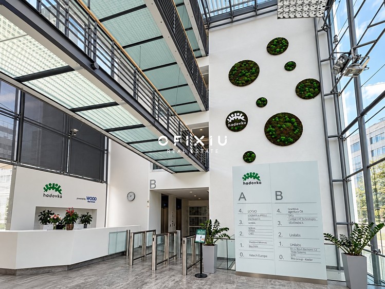 Gewerbefläche zur Miete, 460 m² (19 von 21)