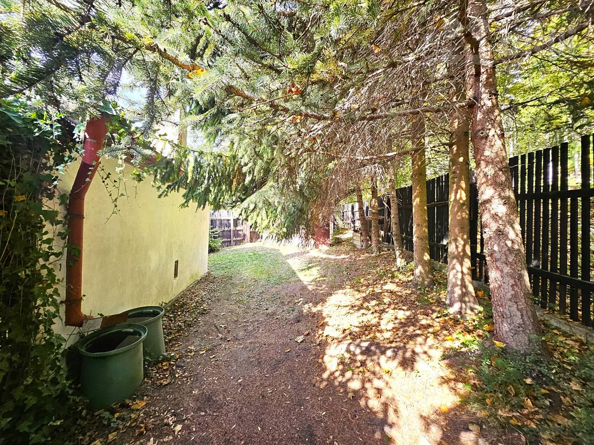 Prodej chaty 41 m², pozemek 381 m² – fotografie 4