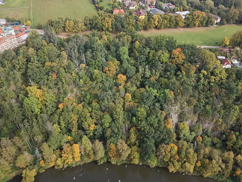 Prodej lesa 19600 m², Tábor – náhled fotky 3