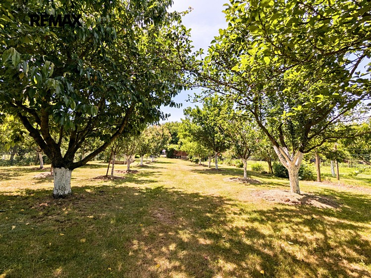 Ostatní