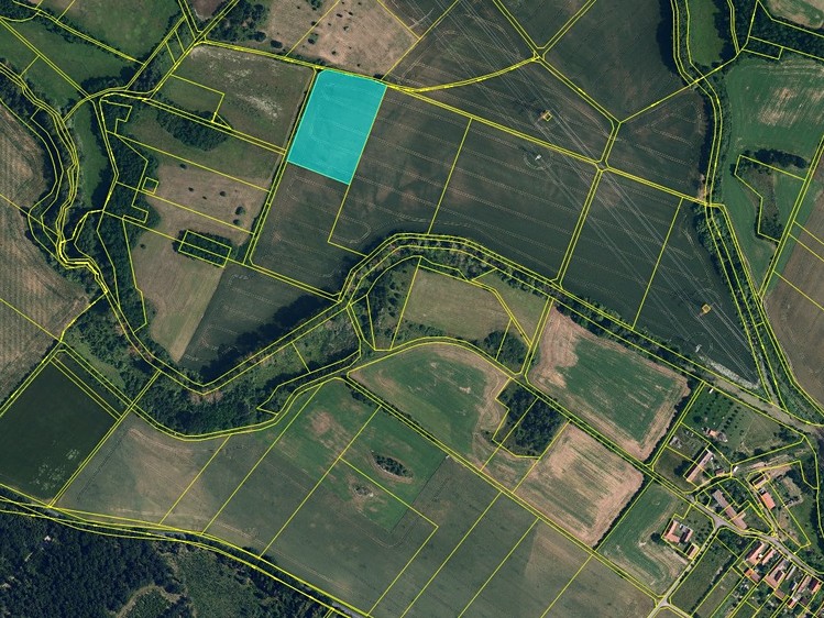 Ostatní