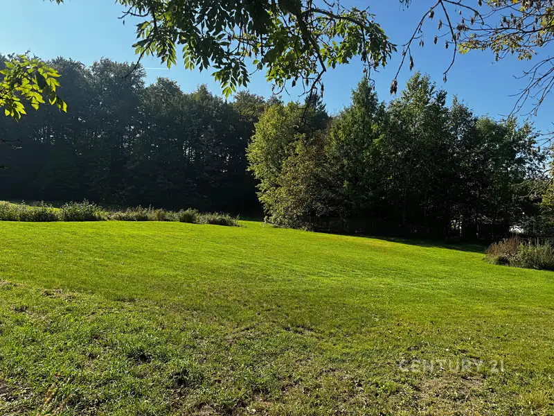 Prodej stavebního pozemku 3702 m², Rynoltice – náhled fotky 3