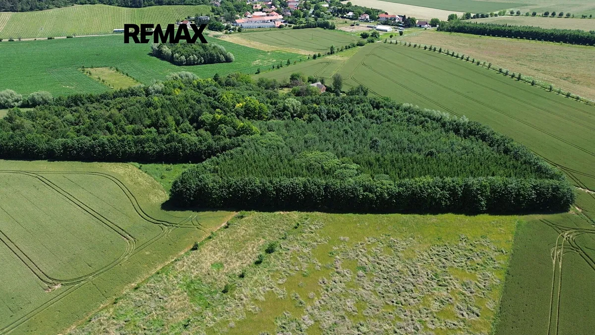 Prodej pole 9186 m²