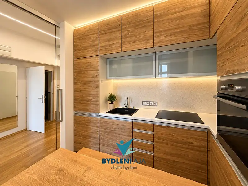 Prodej památky 425 m², pozemek 268 m², Teplice – náhled fotky 2