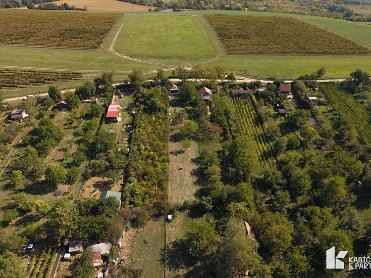 Ostatní