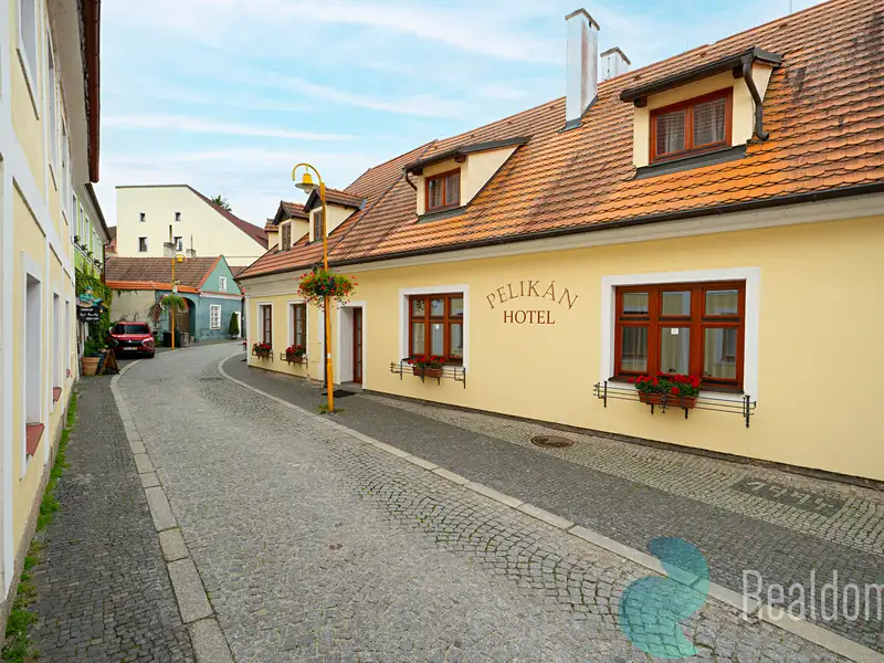 Prodej ubytovacího zařízení 300 m², Třeboň – náhled fotky 2