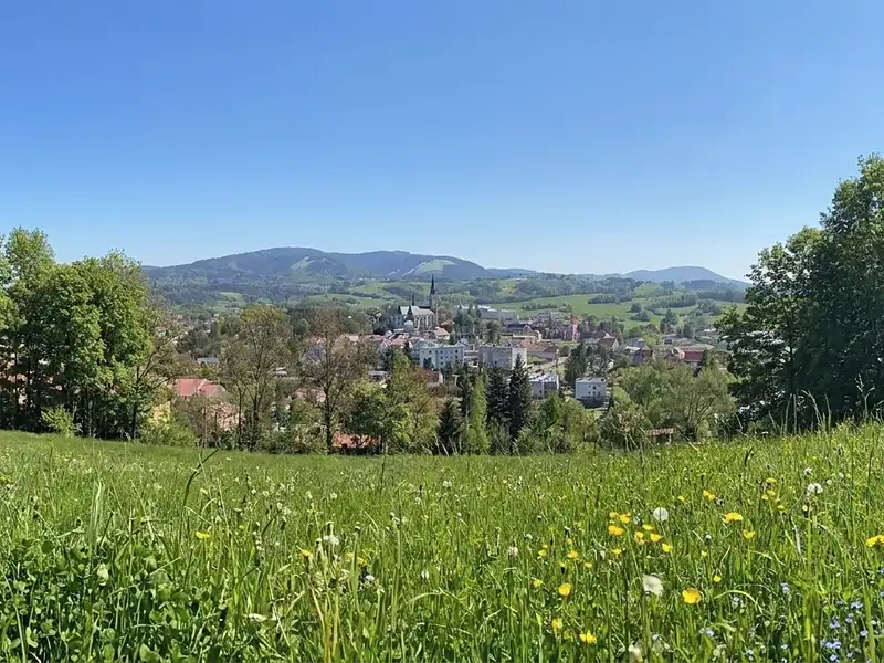 Prodej stavebního pozemku 9446 m², Janovice – náhled fotky 2