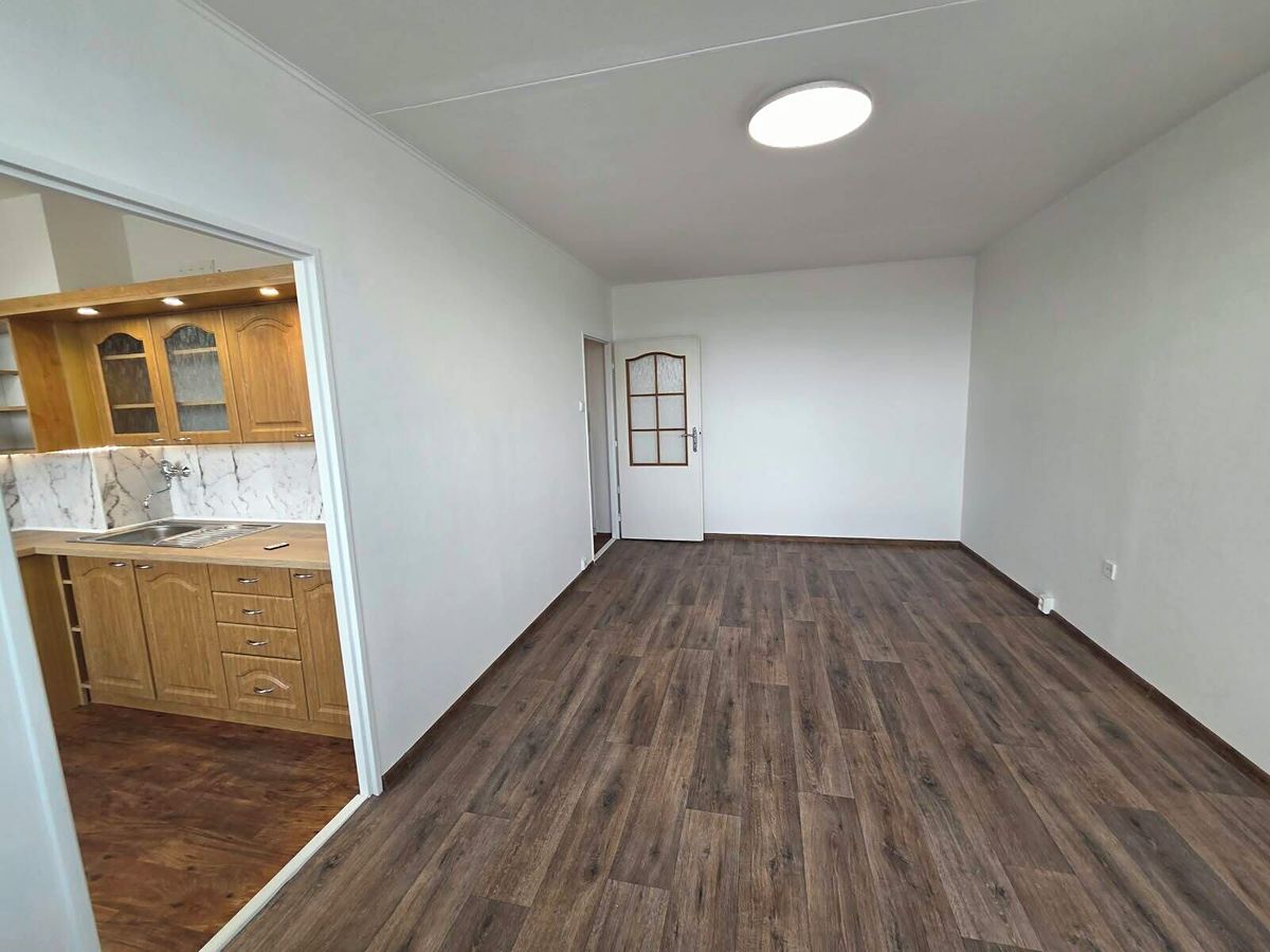 Pronájem bytu 1+1 35 m² – fotografie 3