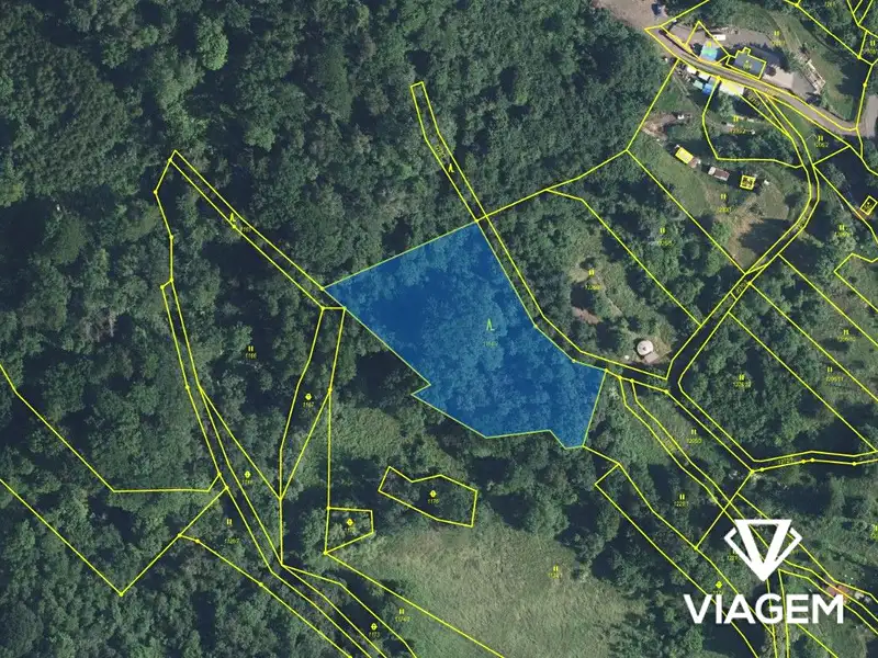Prodej lesa 4439 m², Děčín – náhled fotky 1