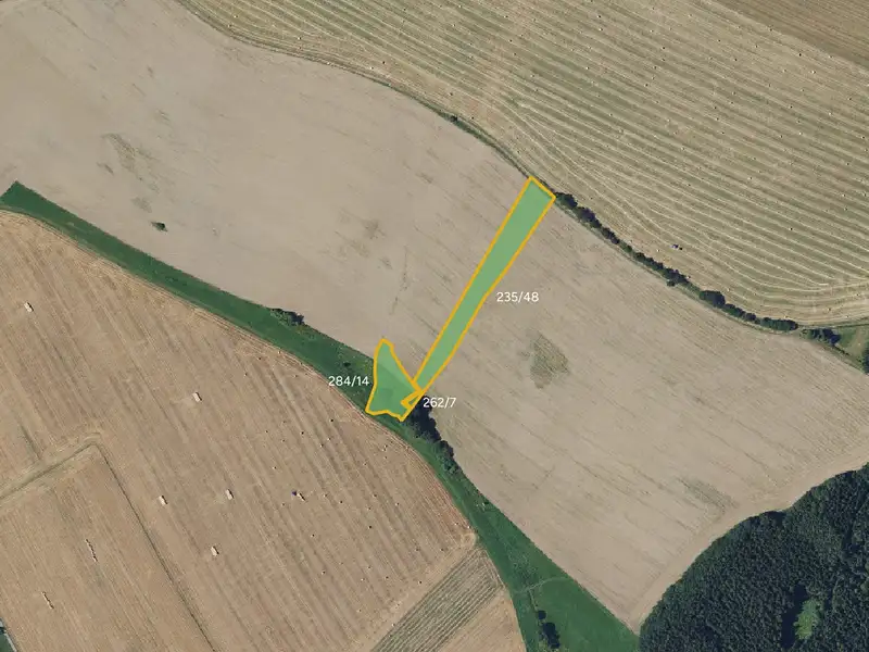 Prodej pole 29881 m², Žďárná – náhled fotky 2