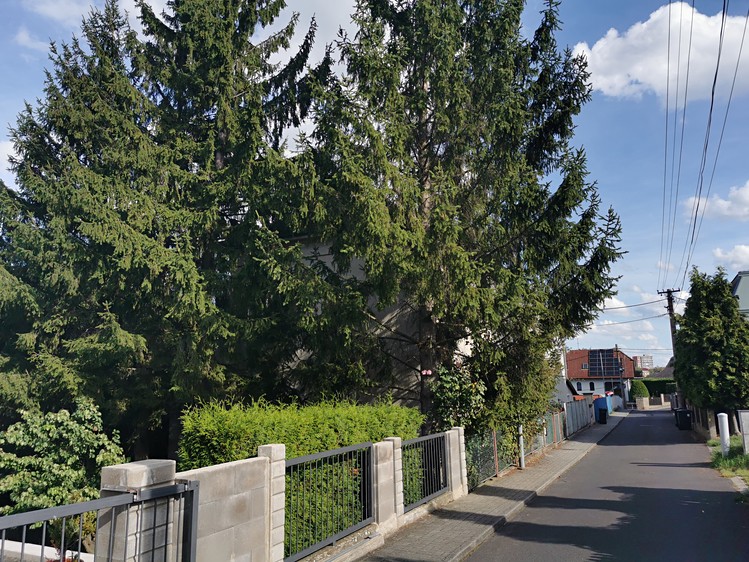 Будинок на продаж, 200 м² (4 з 11)