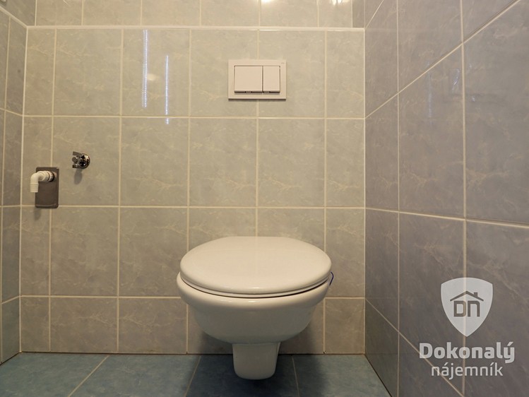Pronájem bytu 2+kk, 47 m² (17 z 26)