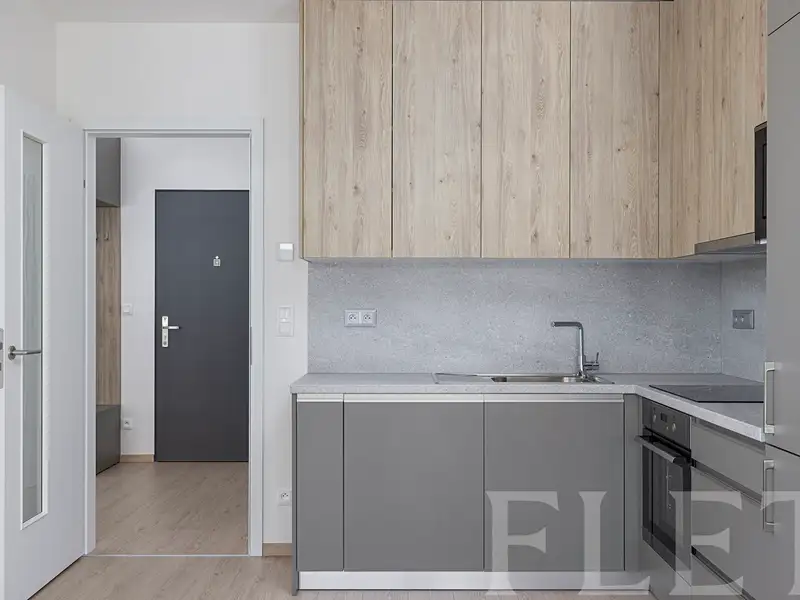 Pronájem bytu 2+kk 46 m², Praha – náhled fotky 1