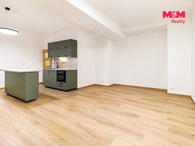 Wohnung 1+kk zum Kauf, 46 m² (2 von 16)