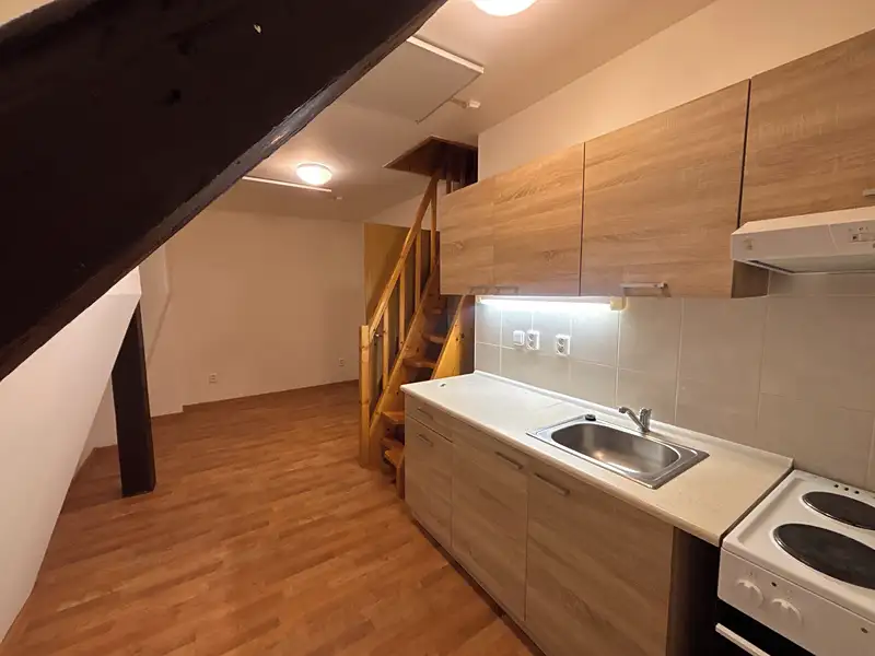 Pronájem bytu 2+kk 40 m², Město Touškov – náhled fotky 2