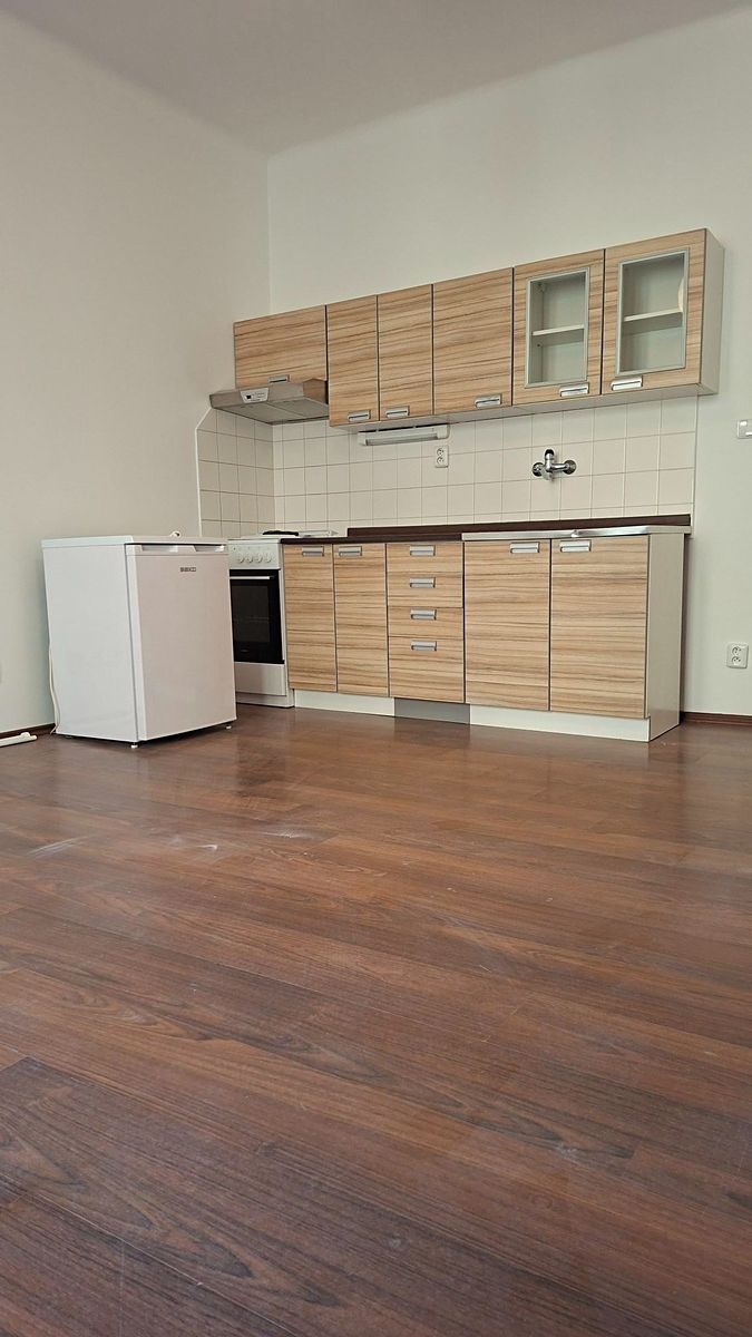 Pronájem bytu 1+kk 28 m² – fotografie 3