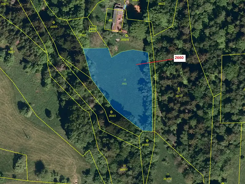 Dražba louky 2510 m², Valašská Bystřice – náhled fotky 2