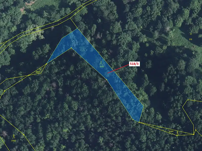 Dražba lesa 2232 m², Malé Březno – náhled fotky 3