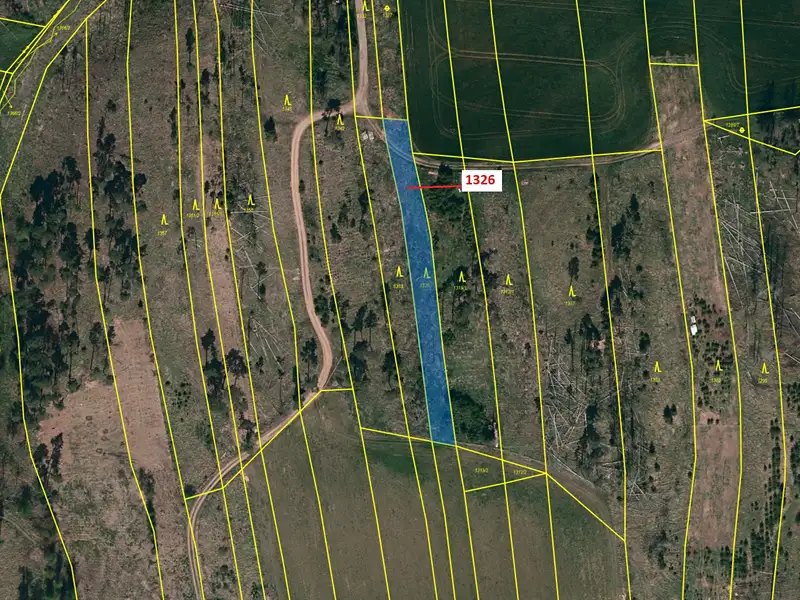 Dražba lesa 1403 m², Vladislav – náhled fotky 2