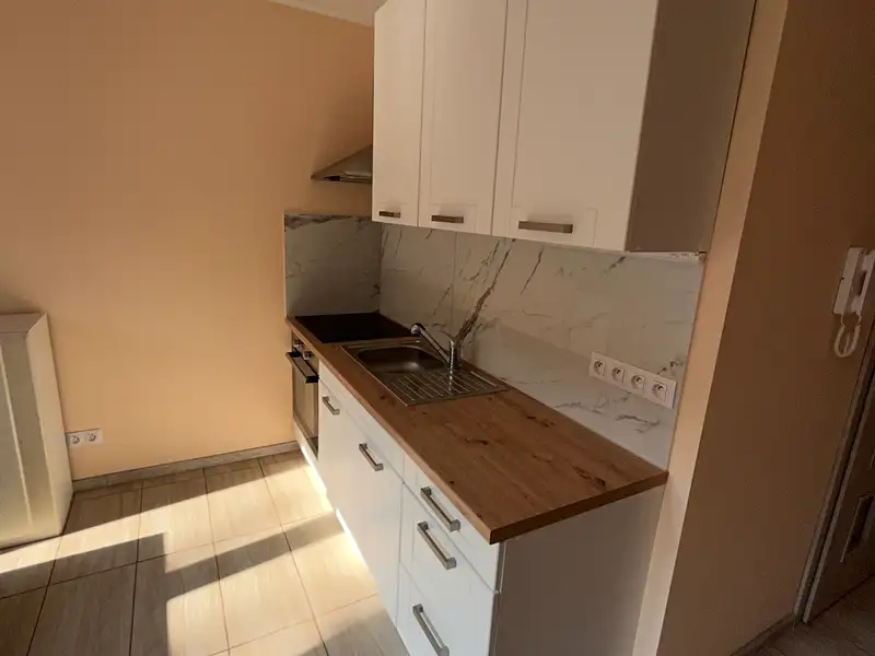 Pronájem bytu 1+1 42 m², Karlovy Vary – náhled fotky 3