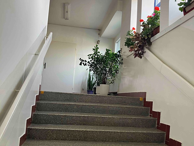 Pronájem komerčního prostoru, 38 m² (8 z 14)
