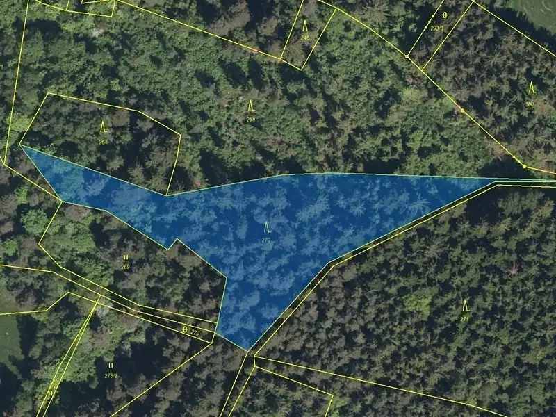 Dražba lesa 4502 m², Zálezly – náhled fotky 2