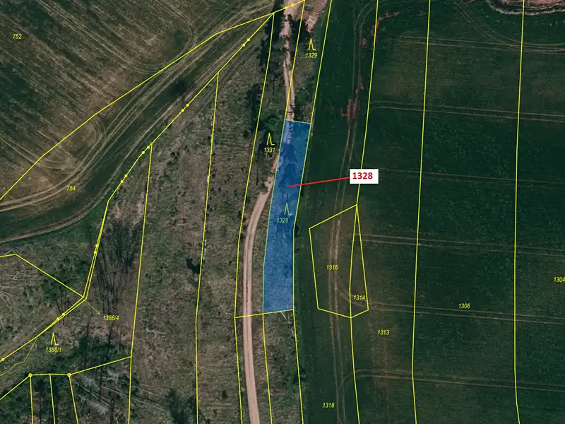 Dražba lesa 662 m², Vladislav – náhled fotky 2